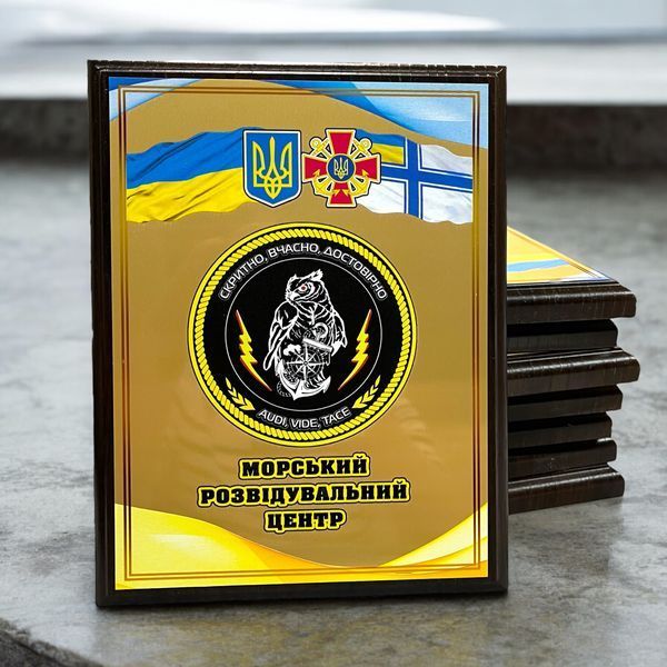 Диплом, нагородна плакетка, подяка 79-та окрема десантно-штурмова Таврійська бригада 79 ОДШБр А5 94788 фото